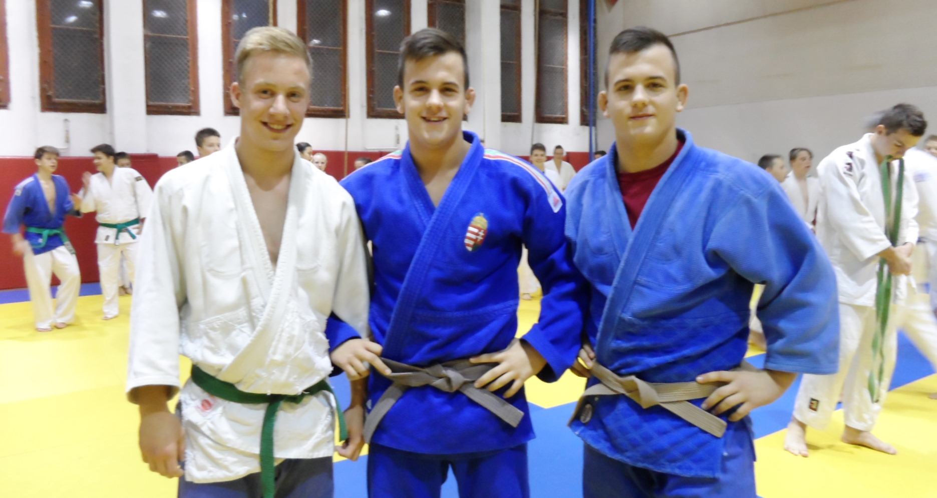 Balról jobbra: I. kép: Lepés Imre: amatőr, Holló Dani: O.B. VII., Holló László: O.B.II.